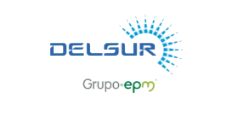 DELSUR