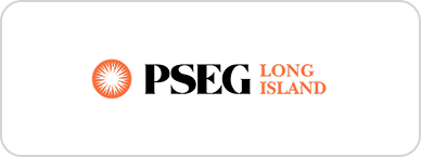 Pseg